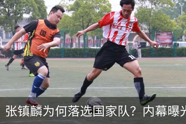 张镇麟为何落选国家队？内幕曝光，叫人心疼，郭士强并没放弃他